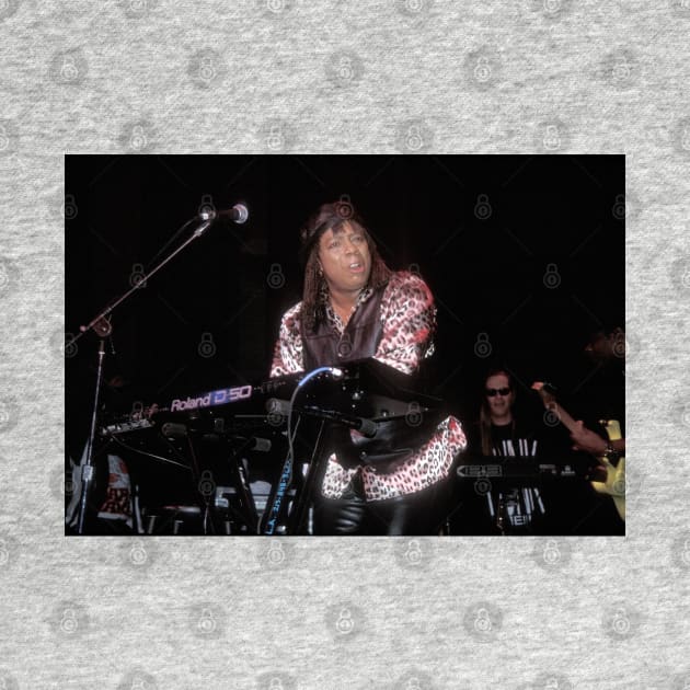 Rick James Photograph by Concert Photos